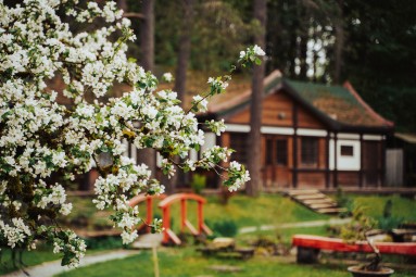 Банный ритуал в Bonsai Park для двоих – путь к гармонии