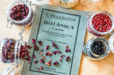 ŌBDO craft džina darītava: ekskursija un degustācija Rīgā