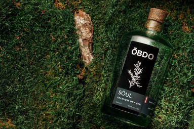 ŌBDO craft džina darītava: ekskursija un degustācija Rīgā