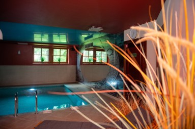 Посещение SPA-комплекса Lagūna – Port Hotel, Адажи