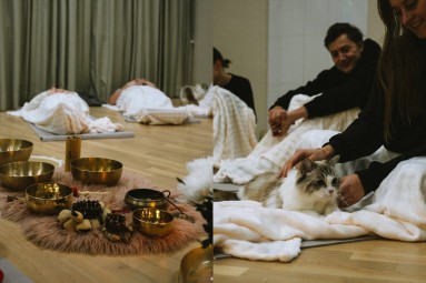 Звуковая медитация с кошками – моменты гармонии в Риге